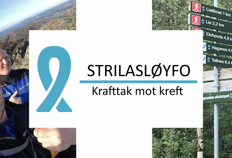 Slik kan ein «idiotisk» idé bli meiningsfull