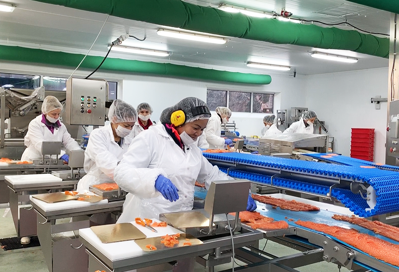 Fiskeindustrien treng fleire fagarbeidarar