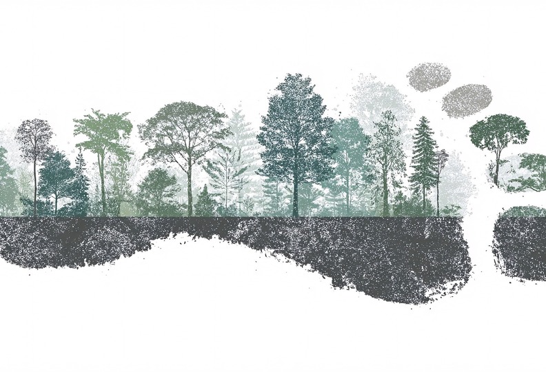 Illustrasjon: Vilius Kukanauskas, Pixabay