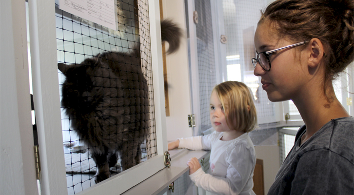 Amalie (til høyre) hjelper til på kattehotellet i sommer. Annema (4) syntes det var stas å besøke pusekattene.